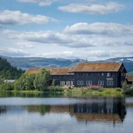 Отель Haukelifjell Gjestehus *