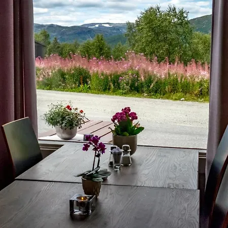 Haukelifjell Gjestehus *