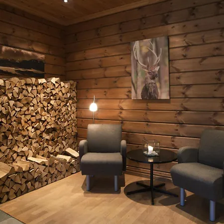 Отель Haukelifjell Gjestehus Vagslivatnet