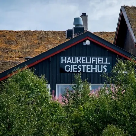 Haukelifjell Gjestehus